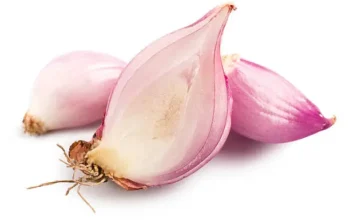 Khasiat Bawang Merah, Obat Tradisional Serbaguna untuk Kesehatan Keluarga