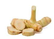 Manfaat Lengkuas untuk Kesehatan, Rempah Tradisional Penangkal Penyakit