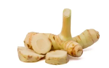 Manfaat Lengkuas untuk Kesehatan, Rempah Tradisional Penangkal Penyakit