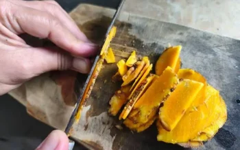 Temulawak, Rimpang Kuning Penjaga Stamina dan Penawar Alami Beragam Penyakit