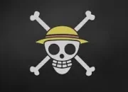 Bendera dan Lambang One Piece