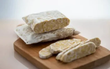 Manfaat Tempe Probiotik bagi tubuh kita.