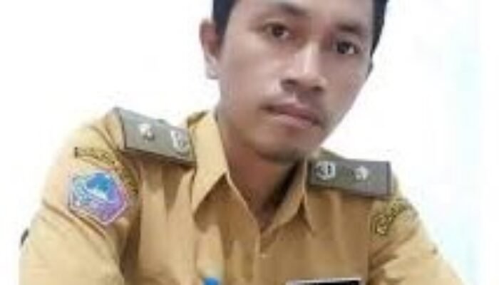 Jejak Sejarah Desa Mini, Dari Ake Manini hingga Jadi Desa Definitif