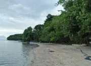 Sejarah Kampung Talawid, Dari Tala Awi Hingga Mahuene dan Mateni