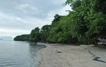 Sejarah Kampung Talawid, Dari Tala Awi Hingga Mahuene dan Mateni