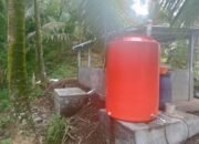 Desa Kiawang Manfaatkan 20% Dana Desa untuk Ketahanan Pangan Lewat Program Peternakan Babi