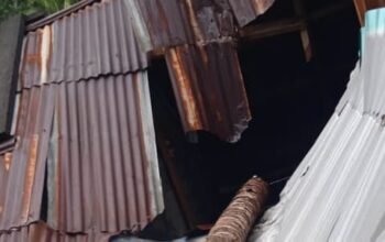 Pemerintah Kampung Peling Serahkan Bantuan Seng untuk Keluarga Korban Rumah Tertimpa Pohon Kelapa di Lindongan 1