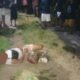 Satu Pukulan Berujung Maut, Polisi Amankan Terduga Pelaku di Sitaro
