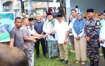 Plt. Bupati Serahkan Hewan Qurban Bantuan Presiden RI dan Pemerintah Daerah Kabupaten Kepulauan Sitaro