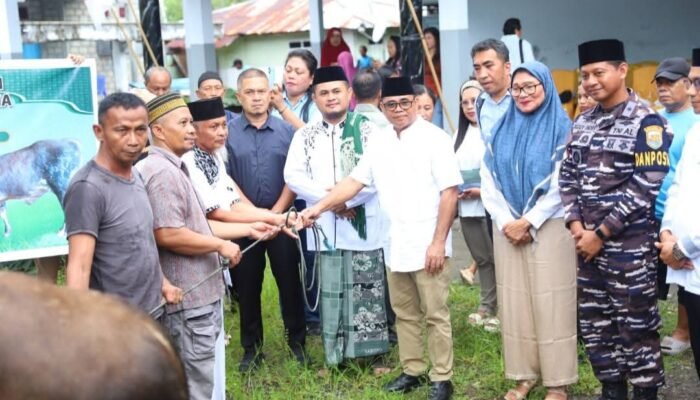 Plt. Bupati Serahkan Hewan Qurban Bantuan Presiden RI dan Pemerintah Daerah Kabupaten Kepulauan Sitaro